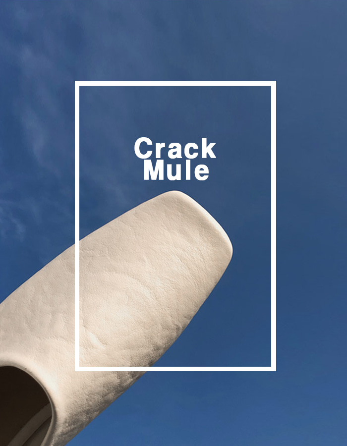 CRACK MULE (2 COLOR)